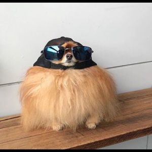 Meet your Posher, Freddie